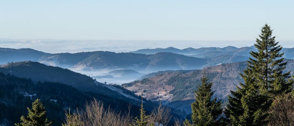 Zum Start in das letzte Wochenende des Jahres kommt etwas mildere Luft nach Deutschland 
