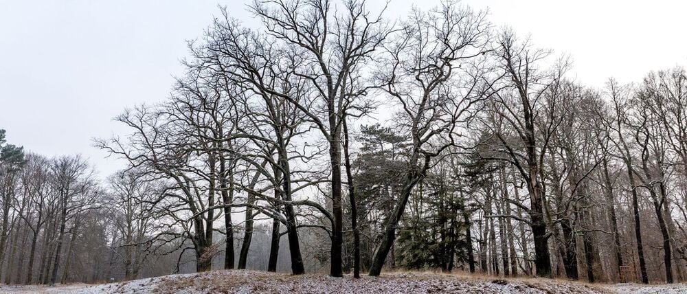In Berlin und Brandenburg sinken die Temperaturen auch in den kommenden Nächten unter den Gefrierpunkt.