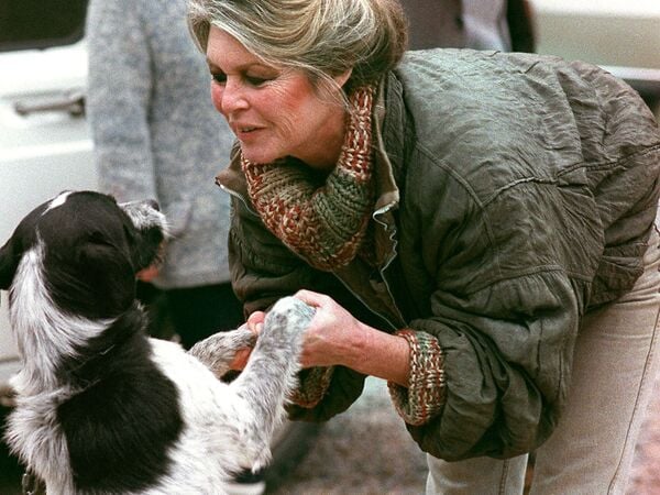 (FILES) French actress and animal rights activist Brigitte Bardot plays with a dog as she arrives at Cabries kennels (South of France) on January 17, 1989, to promote adoption of abandoned pets. French actress Brigitte Bardot died at 91 AFP learned from Bardot foundation on December 28, 2025. (Photo by GERARD FOUET / AFP)