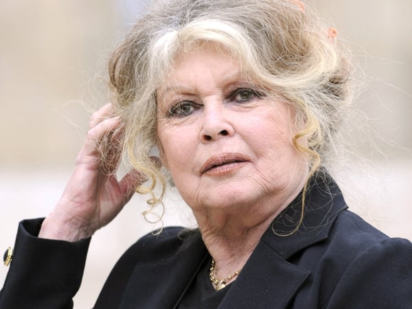 (FILES) French actress and animal rights activist Brigitte Bardot leaves the Elysee Palace in Paris after a meeting with French president Nicolas Sarkozy, on September 27, 2007. French actress Brigitte Bardot died at 91 AFP learnt from Bardot foundation on December 28, 2025. (Photo by Eric Feferberg / AFP)