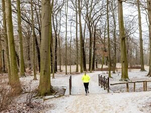 Zum Jahreswechsel könnte es in Berlin und Brandenburg schneien. (Symbolbild)