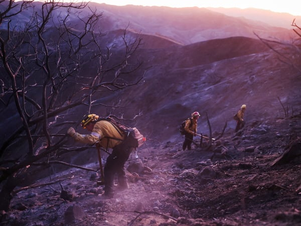 Members of a CalFire crew work to mop up hotspots from the burn scar of the Palisades Fire near Mulholland Drive in Los Angeles, California, U.S., January 15, 2025. REUTERS/David Swanson  REFILE - QUALITY REPEAT     TPX IMAGES OF THE DAY     