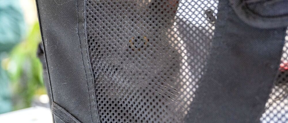 Das Tierheim Berlin hat zahlreiche Haustiere aufgenommen.