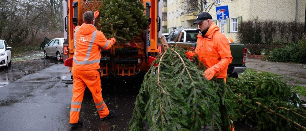 Zwischen dem 10. und dem 24. Januar holt die BSR im kommenden Jahr wieder ausgediente Weihnachtsbäume ab. (Archivbild)