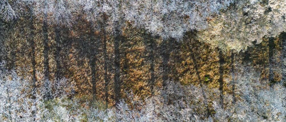 Zum Jahreswechsel wird es frostig und auch Schnee ist möglich. (Symbolbild)