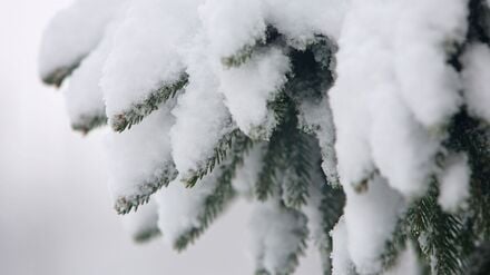 Kari Leibowitz hat ein Buch über die Vorzüge des Winters geschrieben. (Archivbild)
