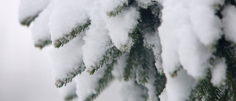 Kari Leibowitz hat ein Buch über die Vorzüge des Winters geschrieben. (Archivbild)