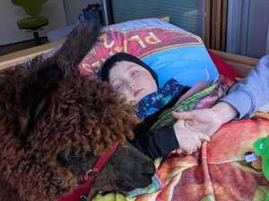 Lukas Schmiedel verbrachte die letzten vier Wochen in einem Hospiz und bekam dort unter anderem Besuch von einem Alpaka.