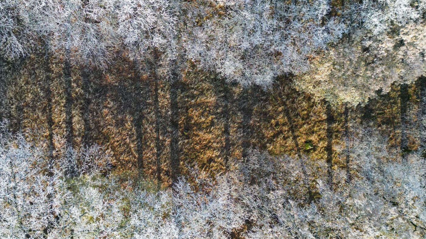 Wetterbilanz-Sonnenreiches-Wetterjahr-f-r-Brandenburg-endet