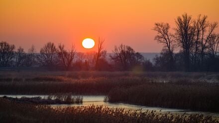 Sonnenaufgang über dem deutsch-polnischen Grenzfluss Oder bei Lebus.