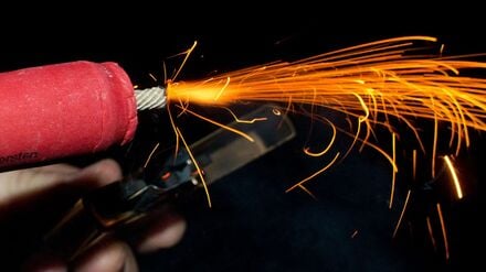 Böller lassen Wildtiere aufschrecken und sorgen bei ihnen für immensen Stress. (Symbolfoto)