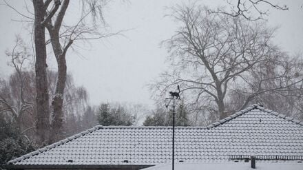 Zum Jahreswechsel fällt in Berlin Schnee.