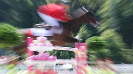 Es gab 2025 mehr tote Pferde als im Vorjahr. (Symbolbild)