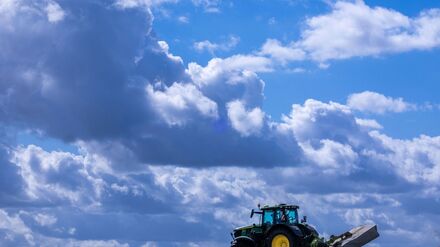 Es lohnt sich oft nicht: Die Produktionskosten für Agrarprodukte liegen teils über den Verkaufspreisen. (Archivbild)