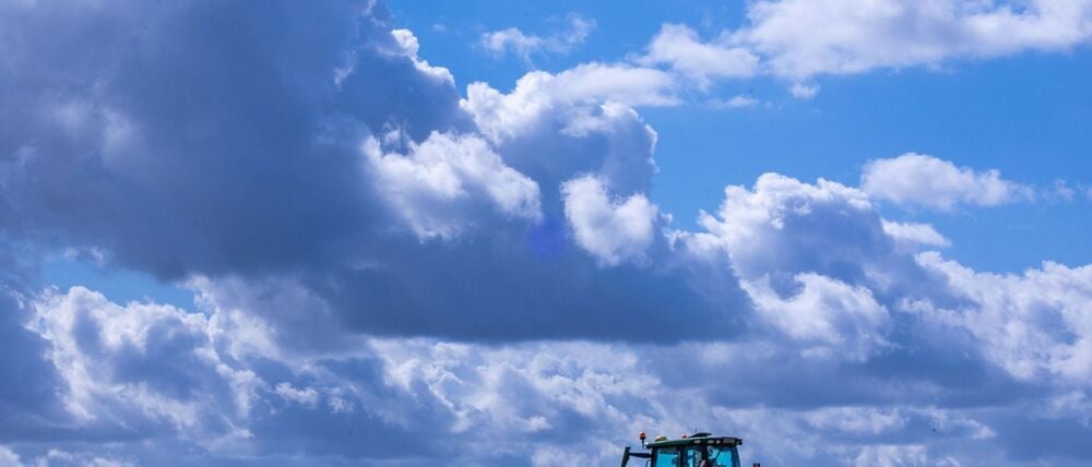 Es lohnt sich oft nicht: Die Produktionskosten für Agrarprodukte liegen teils über den Verkaufspreisen. (Archivbild)