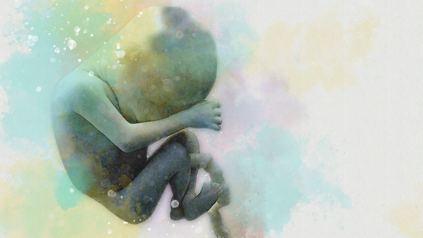 Fr-hes-Bewusstsein-Wie-F-ten-und-Neugeborene-die-Welt-erleben