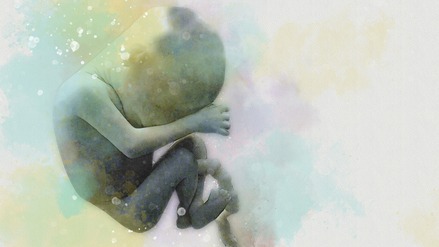 Ein Fötus im Mutterleib (Illustration).