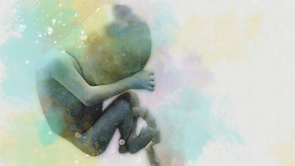 Ein Fötus im Mutterleib (Illustration).