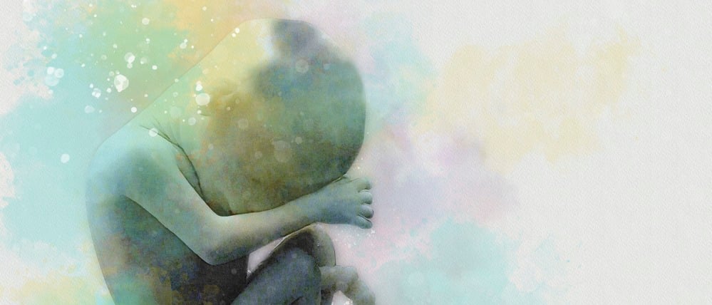 Ein Fötus im Mutterleib (Illustration).