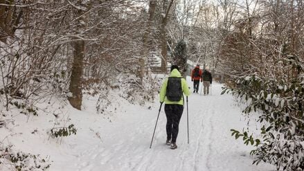 Mehrere Menschen sind auf einem verschneiten Waldweg im Taunus unterwegs, eine Person mit Wanderstöcken. Das neue Jahr beginnt mit einem Wintereinbruch in mittleren Lagen.