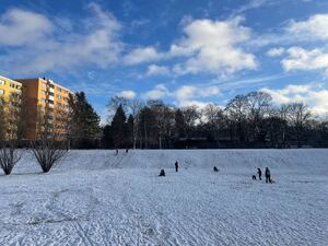 Entlang der Panke, kurz vor der Wollankstraße, verlaufen Hügel, die sich ideal zum Rodeln eignen.