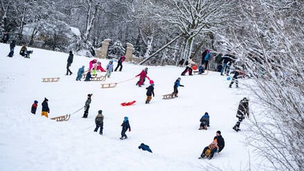 Rodelnde Menschen sind in einem Park in Hamburg zu sehen.