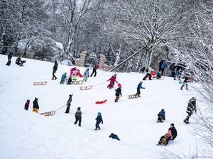 Rodelnde Menschen sind in einem Park in Hamburg zu sehen.