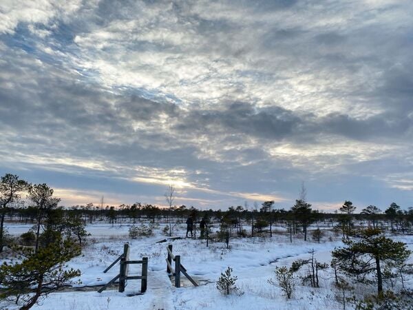 04.01.2026, Lettland, Kemeri: Besucher laufen auf einem Wanderpfad durch das zugefrorene Hochmoor im Nationalpark Kemeri. Foto: Alexander Welscher/dpa +++ dpa-Bildfunk +++
EU_Snow
