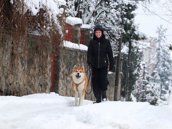 A girl walks her dog on a street covered with snow, in Belgrade, Serbia, January 5, 2026. REUTERS/ Zorana Jevtic
EU_Snow