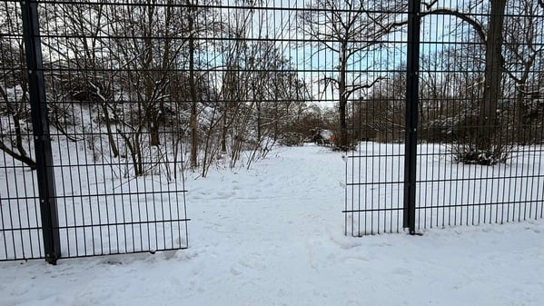 Loch im Zaun am Görlitzer Park
