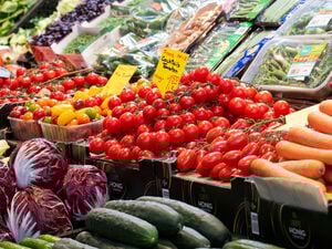 Je höher die Inflationsrate, umso geringer die Kaufkraft der Menschen: Sie können sich für einen Euro dann weniger leisten - zum Beispiel beim Lebensmitteleinkauf.