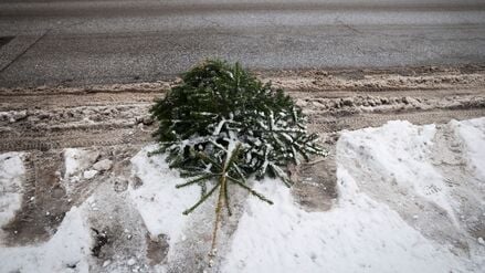 Mitarbeiter der Stadtreinigung Hamburg sammeln Weihnachtsbäume ein (Symbolbild).