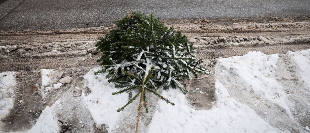 Mitarbeiter der Stadtreinigung Hamburg sammeln Weihnachtsbäume ein (Symbolbild).