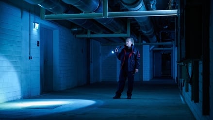 Bringt Licht ins Dunkel: Eine Angestellte von Securitas.