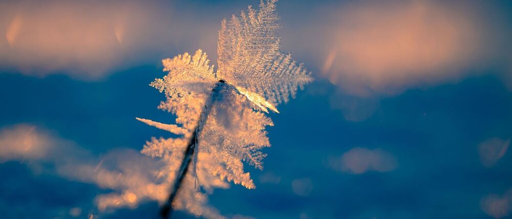 Eisige Temperaturen können für Menschen ohne Wohnung lebensgefährlich sein.