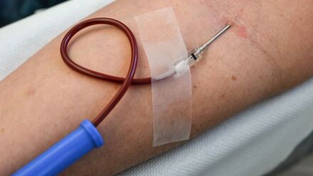 In Berlin und Brandenburg werden laut DRK jeden Werktag zwischen 600 und 800 Blutspenden benötigt. (Archivbild)