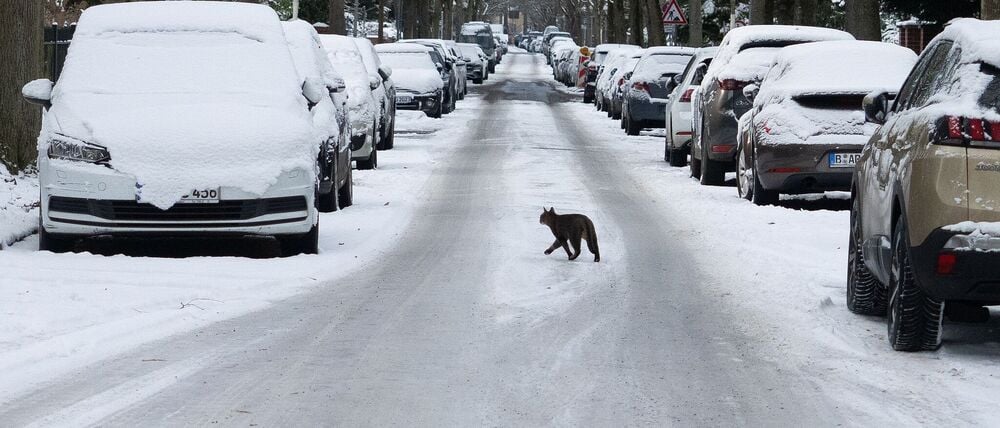 In Berlin und Brandenburg bleibt es frostig – zum Ende der Woche sorgen Schnee und Glätte erneut für winterliche Verhältnisse. (Archivbild)