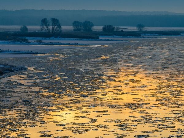 07.01.2026, Brandenburg, Frankfurt (Oder): Eisschollen, sogenannte Brieger Gänse, treiben am frühen Morgen stromabwärts auf dem deutsch-polnischen Grenzfluss Oder. Mit den Brieger Gänsen ist ein früher in Schlesien aufgetauchter Begriff bis an die Untere Oder gelangt. Die Bezeichnung steht für die runden Eisschollen mit gekräuseltem Rand, die in der Umgebung der Stadt Brieg (Brzeg) verwandt wurde. Foto: Patrick Pleul/dpa +++ dpa-Bildfunk +++