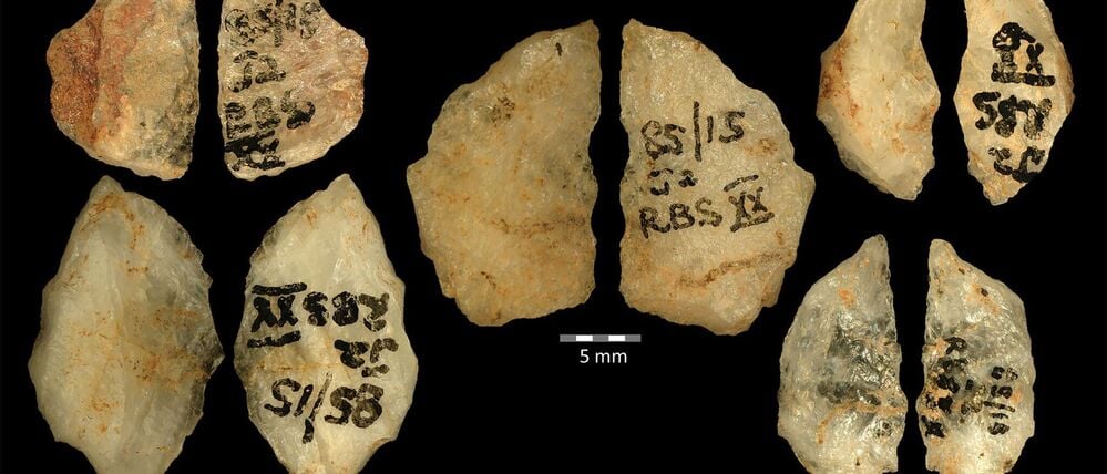 Die Vor- und Rückseiten fünf 60.000 Jahre alter Pfeilspitzen mit dem Gift von Boophone.