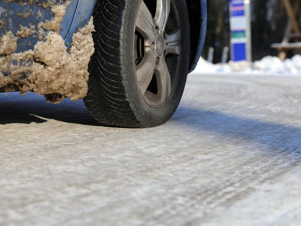 Winter in Potsdam. Glätte, Kälte, Verkehr, Tiere.