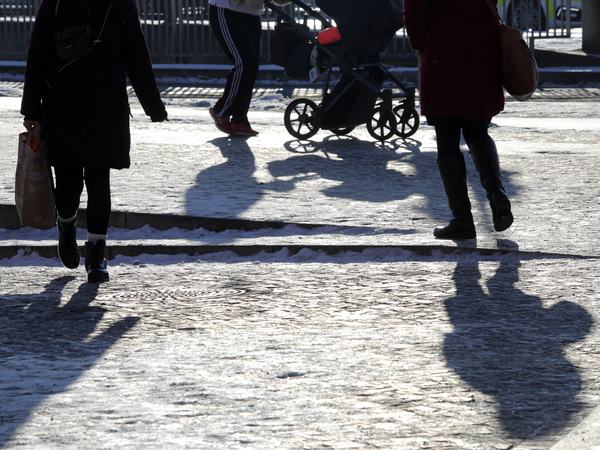 Winter in Potsdam. Glätte, Kälte, Verkehr, Tiere.