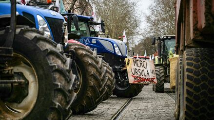In Frankreich hatte es im Dezember Bauernproteste gegen das Mercosur-Handelsabkommen zwischen der EU und südamerikanischen Staaten gegeben. Jetzt kündigten Landwirte auch in Deutschland und Brandenburg Aktionen dagegen an. (Archivbild)