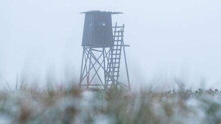 Ein Hochsitz ist im Morgennebel neben einem Feld zu sehen.