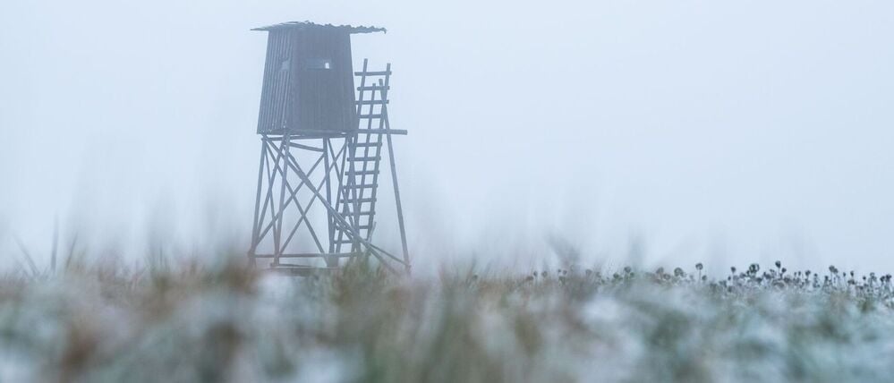 Ein Hochsitz ist im Morgennebel neben einem Feld zu sehen.