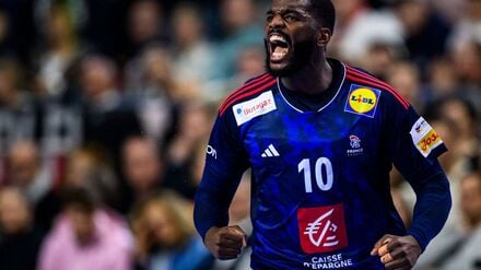 Der französische Handball-Nationalspieler Dika Mem spielt bald für Berlin. (Archivbild)