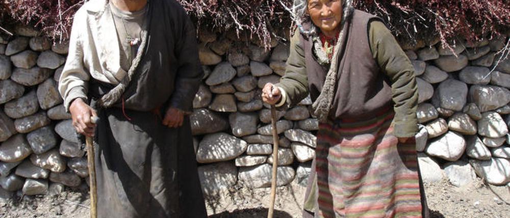 Zwerge Tibet