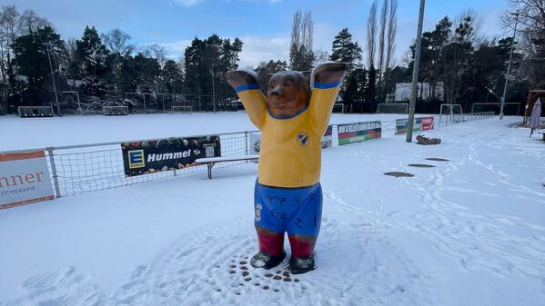 Das Vereinsgelände mit dem Buddy Bären in Vereinsfarben Blau und Gelb.
