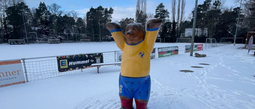 Das Vereinsgelände mit dem Buddy Bären in Vereinsfarben Blau und Gelb.
