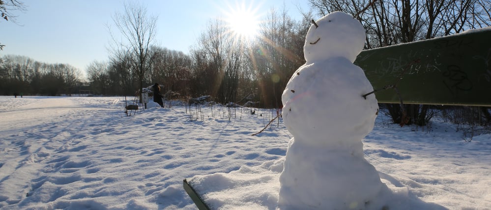Dieser Schneemann wird wohl so schnell nicht tauen.