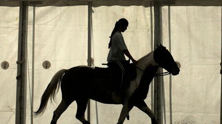 Cavalia